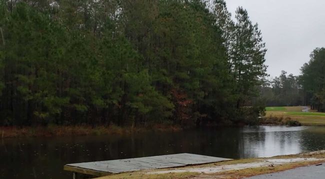 Donna's view at her new house
